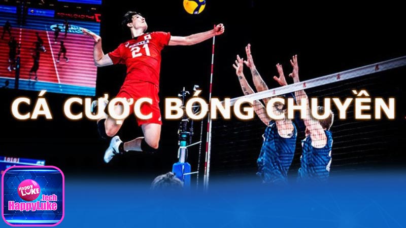 Cá cược bóng chuyền